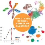 Stop your analysis until you read this clustering secret